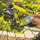 Lubricante de Cadenas de Bicicleta para Ambiente Húmedo- Gotero 100ml WD-40