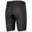 Culotte Corto Scott Ms Trail Underwear +