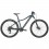 Bicicleta Scott Contessa Active 50 29 2022