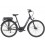 Bicicleta Trek Verve+ 1 Lowstep 400Wh 2022