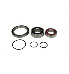 Kit Rodamientos Black Bearing Bosch Perf.Line/CX (2ud.)