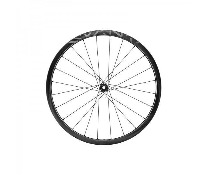 Rueda Trasera Campagnolo Levante 30 2Wf Disco Tl N3W Carbono