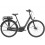Bicicleta Eléctrica Trek District+ 1 Lowstep 2023