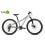 Bicicleta Coluer Junior Ascent 242 Mc 2024