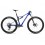 Bicicleta Orbea OIZ M-LTD 2025 |S244|