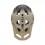 Casco Fox Speedframe Pro Backfade Crema |33509-242|