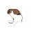 Gafas Oakley Clifden Coalesce Collection Bronce |0oo9440-2356|